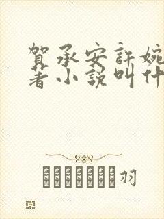 贺承安许婉淑原著小说叫什么