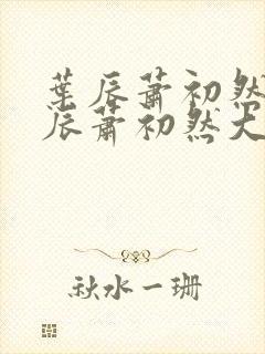 叶辰萧初然 叶辰萧初然大结局