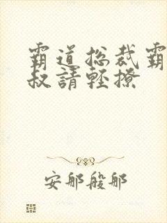 霸道总裁霸道小叔请轻撩