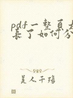 pdf一整页太长了如何分页打印