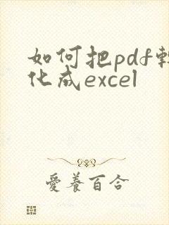 如何把pdf转化成excel