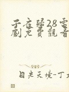 子夜归28电视剧免费观看全集高清
