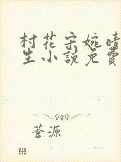 村花宋婉晴的重生小说免费阅读全文