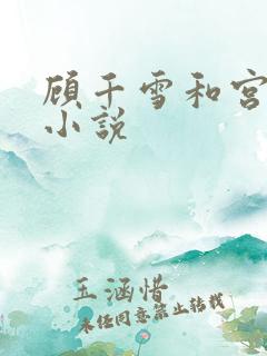 顾千雪和宫凌沨小说