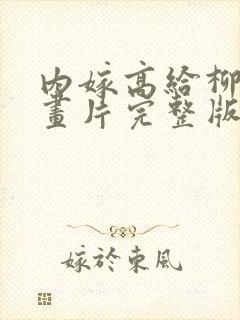 内嫁高给柳家动画片完整版