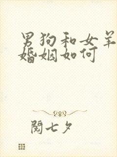 男狗和女羊相配婚姻如何
