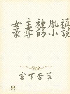 女主被胤禛强取豪夺的小说