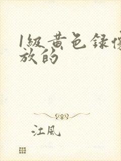 1级黄色录像能放的