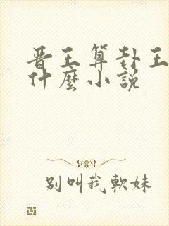 晋王算卦王妃叫什么小说