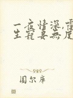 一夜情深,霍先生宠妻无度小说看