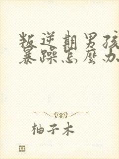 叛逆期男孩脾气暴躁怎么办