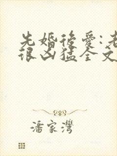 先婚后爱:老公很凶猛全文txt下载