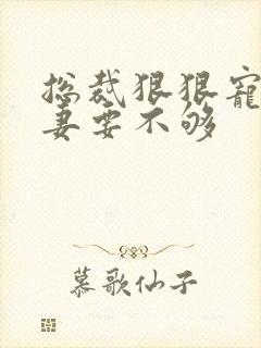 总裁狠狠宠,娇妻要不够