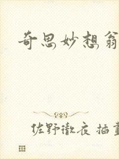奇思妙想翁小说