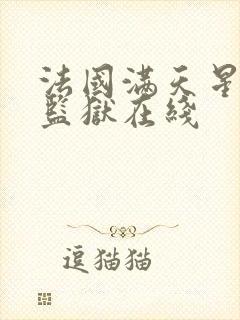 法国满天星高压监狱在线