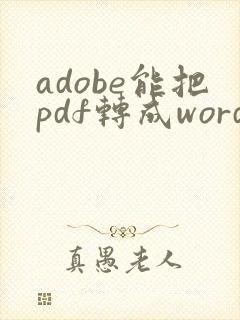 adobe能把pdf转成word吗