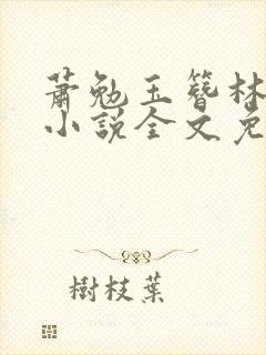 萧勉玉簪林若昭小说全文免费阅读