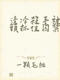 清冷杀手被死对头抓住囚禁