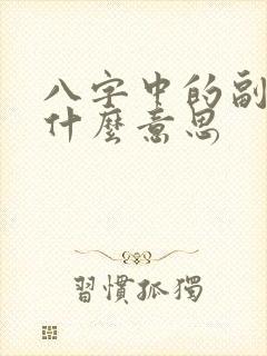 八字中的副星是什么意思