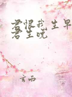 君恨我生早我恨君生晚