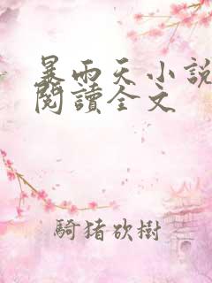 暴雨天小说免费阅读全文