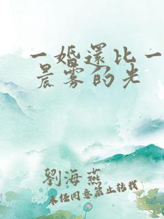 一婚还比一婚高 晨雾的光