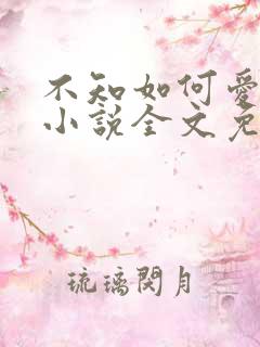 不知如何爱你时小说全文免费阅读