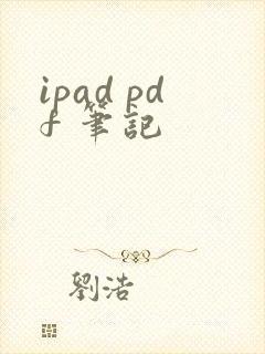 ipad pdf 笔记