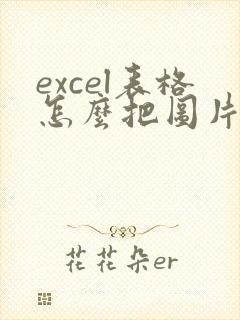 excel表格怎么把图片里的文字提取出来