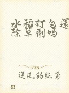 水稻打包还能打除草剂吗