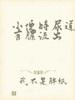 小便时尿道刺痛有脓流出