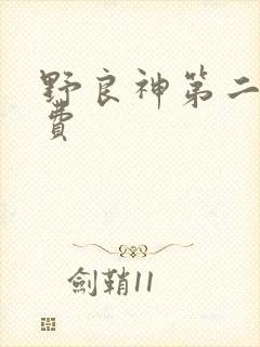 野良神第二季免费