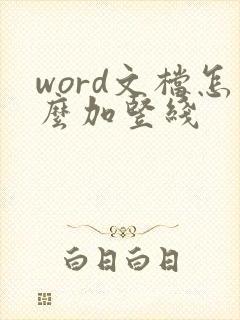 word文档怎么加竖线
