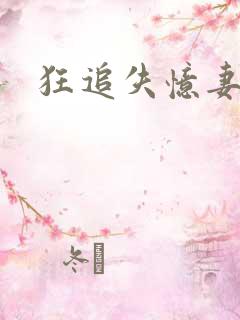 狂追失忆妻