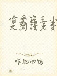 偷香窃玉小说全文阅读免费