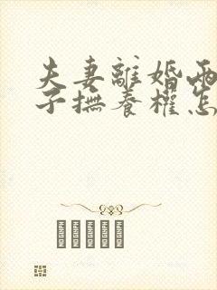 夫妻离婚两个儿子抚养权怎么判定