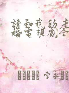 请和我的老公结婚电视剧全集免费观看