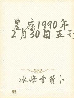 农历1990年2月30日五行属相