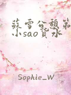 苏雪公憩第一章小sao货水