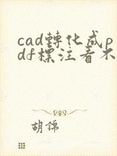 cad转化成pdf标注看不清怎么办