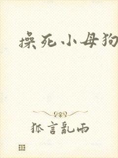 操死小母狗