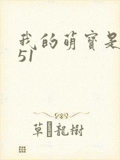 我的萌宝是僚机51