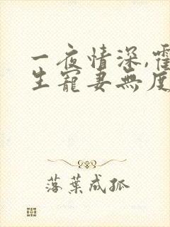 一夜情深,霍先生宠妻无度网络小说