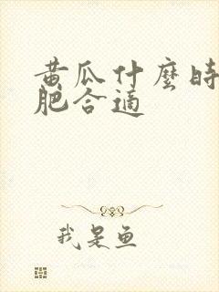 黄瓜什么时候施肥合适