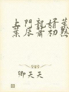 上门龙婿叶辰 叶辰萧初然