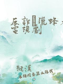 反诈·猎蜂者 电视剧