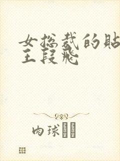 女总裁的贴身兵王段飞