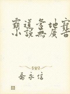 霸道爹地宠又撩小说无广告