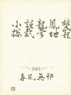 小说龙凤双宝:总裁爹地宠上天