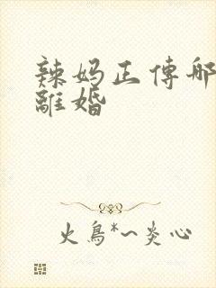 辣妈正传哪一集离婚